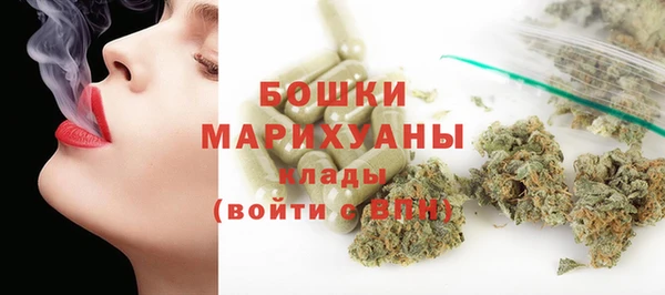 гашиш Богданович