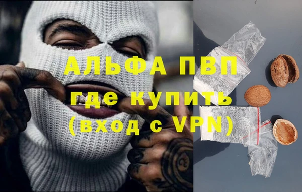 гашиш Богданович