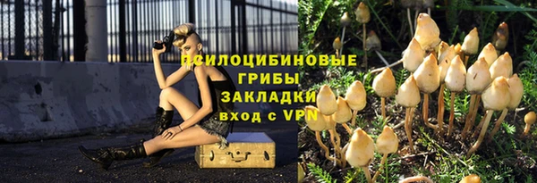 гашиш Богданович