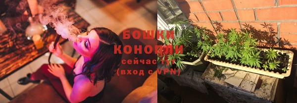 гашиш Богданович