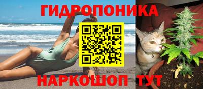 кокс Рязань