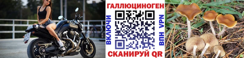 Галлюциногенные грибы MAGIC MUSHROOMS Канск
