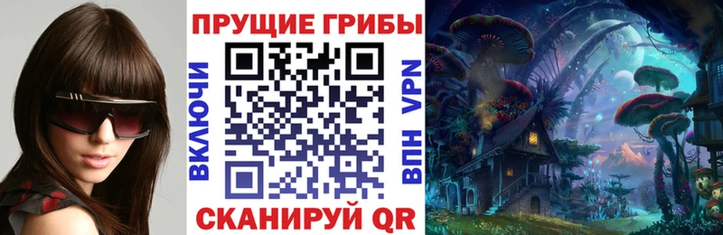 Псилоцибиновые грибы мицелий  наркотики  Канск 