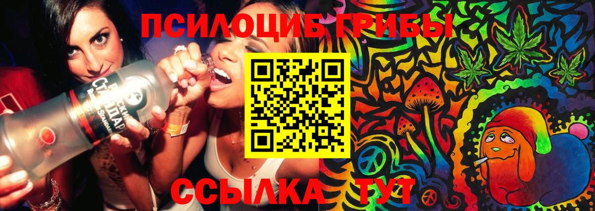 Псилоцибиновые грибы мицелий Канск