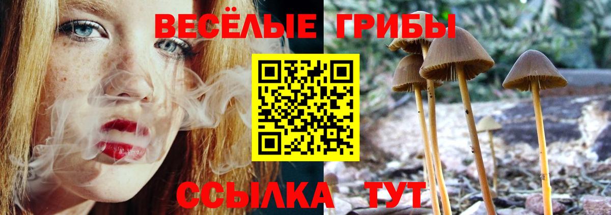 Псилоцибиновые грибы Cubensis  Вход с VPN  Канск 